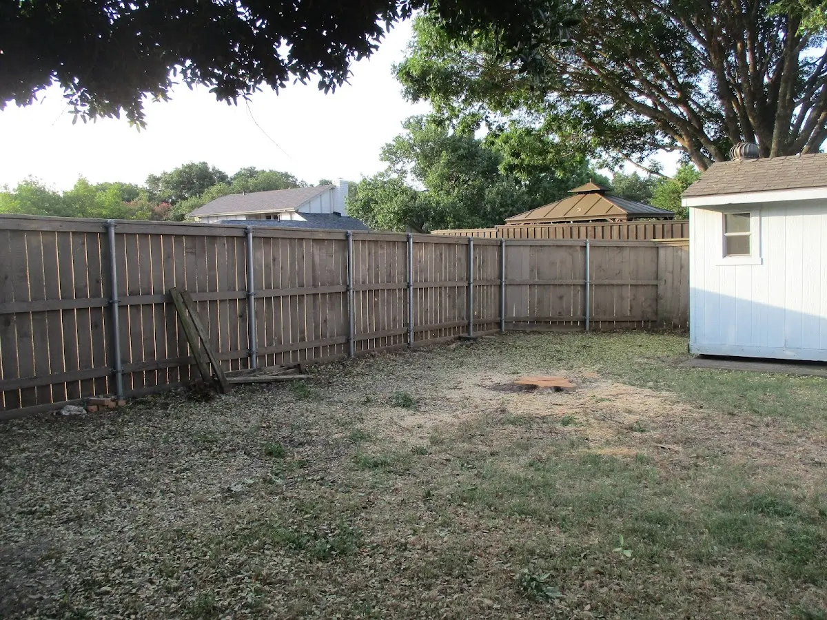 Cleared yard after professional tree removal in Willow Hill