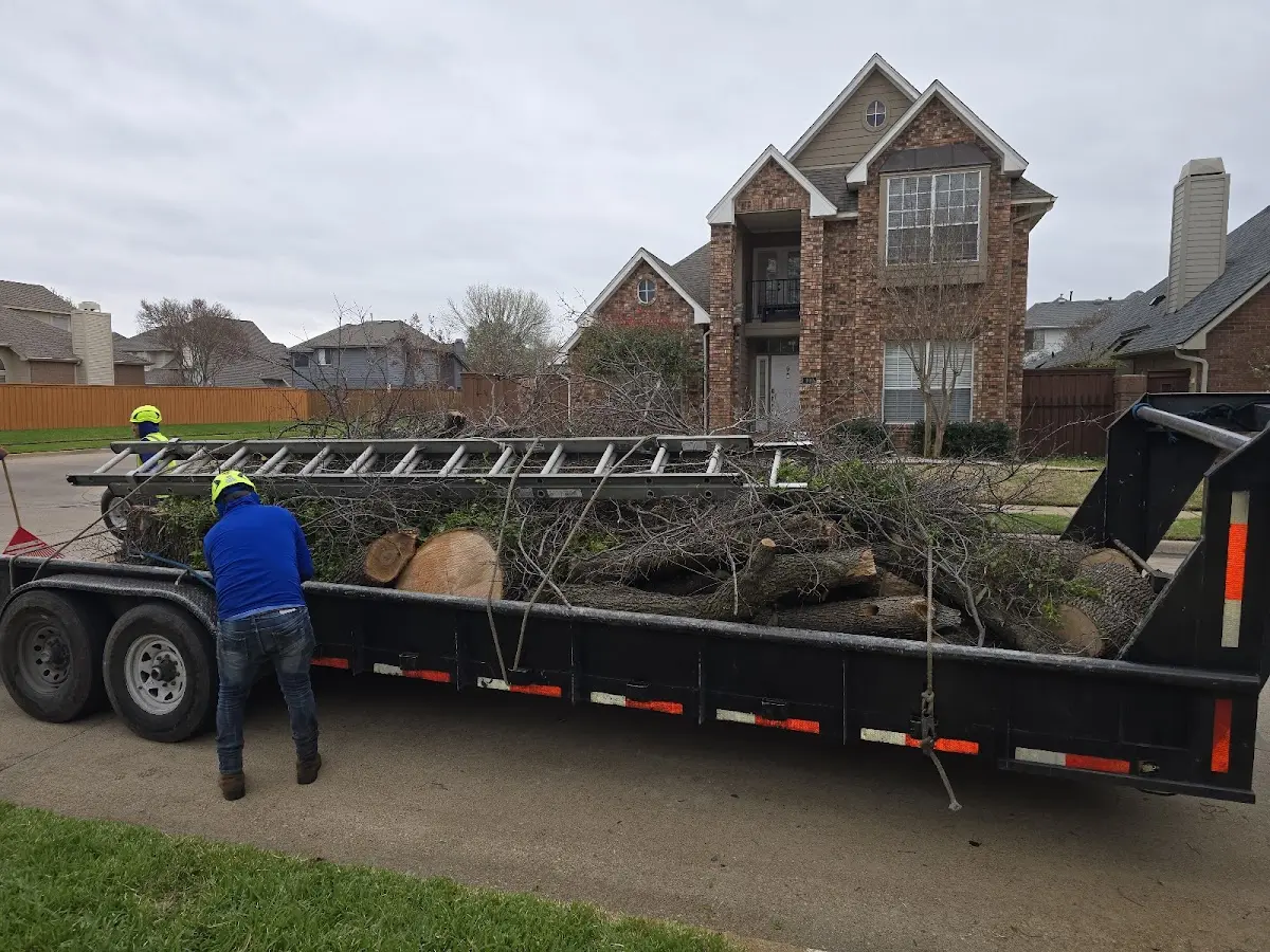Expert Lot Clearing with proper safety equipment in Willow Hill